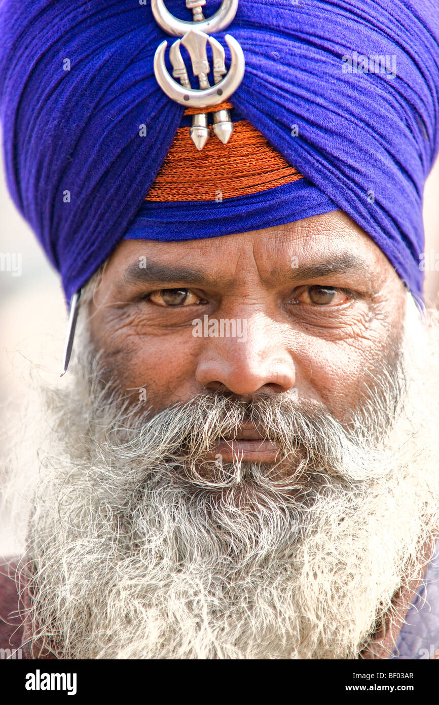 Porträt eines Sikhs in Amritsar, Punjab, Indien. Stockfoto