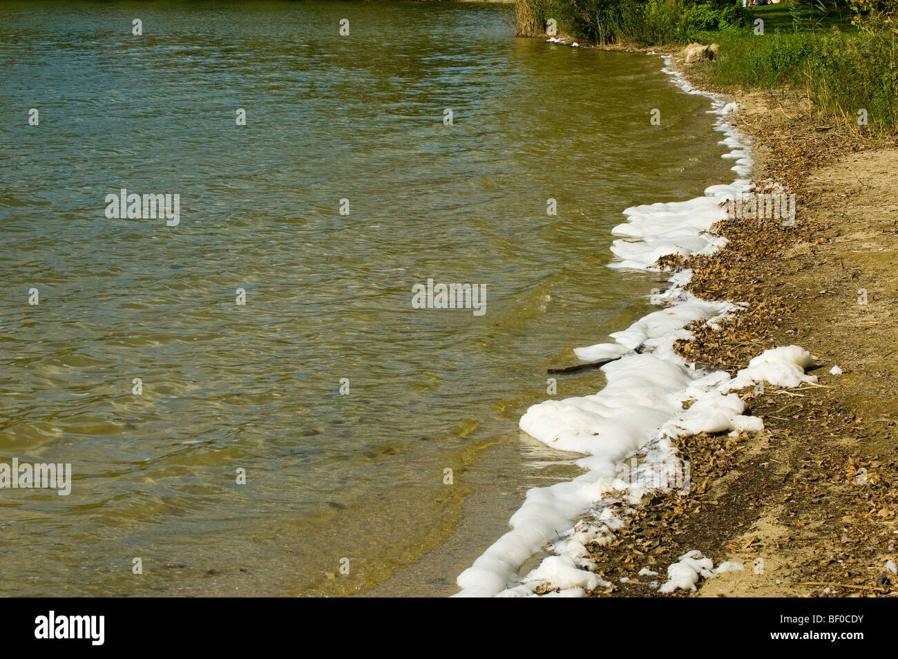 Umweltverschmutzung Umwelt Wasser Teich Bank Fluss Strandsand Oberflächenschaum Schäumen Schmutz Schlamm Wasserlinie Linie entlang Abwasser s Stockfoto