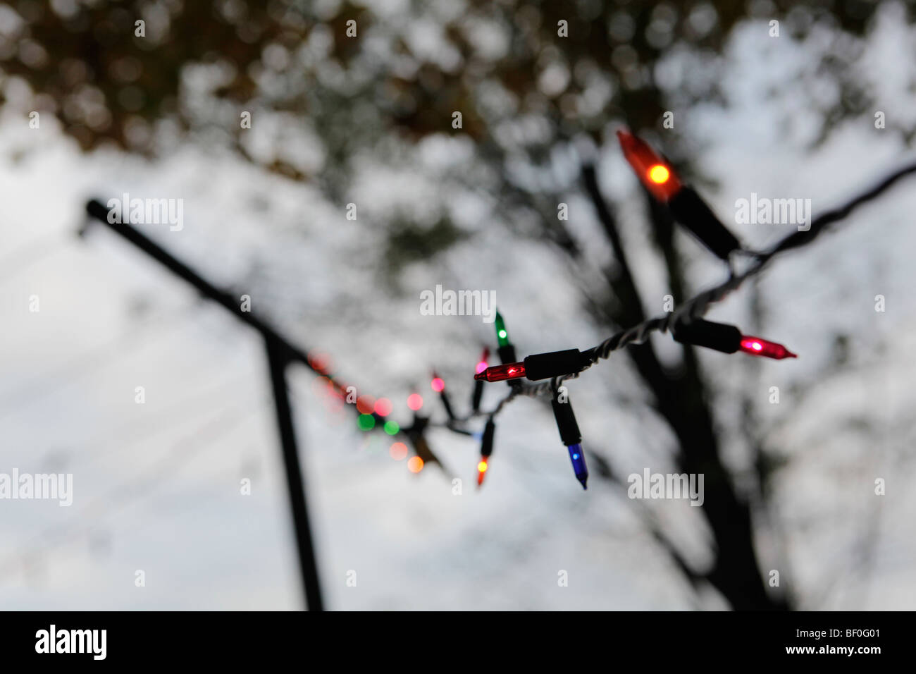 Bunte Weihnachtsbeleuchtung sind während einer Party in einer ländlichen Gegend der zentralen Vereinigten Staaten auf einer Wäscheleine aufgehängt. Stockfoto