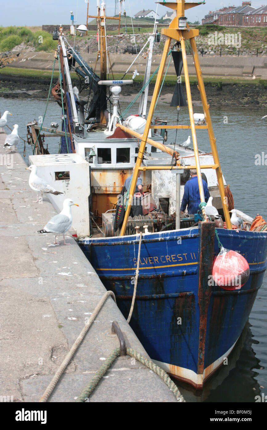 Angelboot/Fischerboot angedockt in Girvan Hafen, South Ayrshire, Schottland Stockfoto