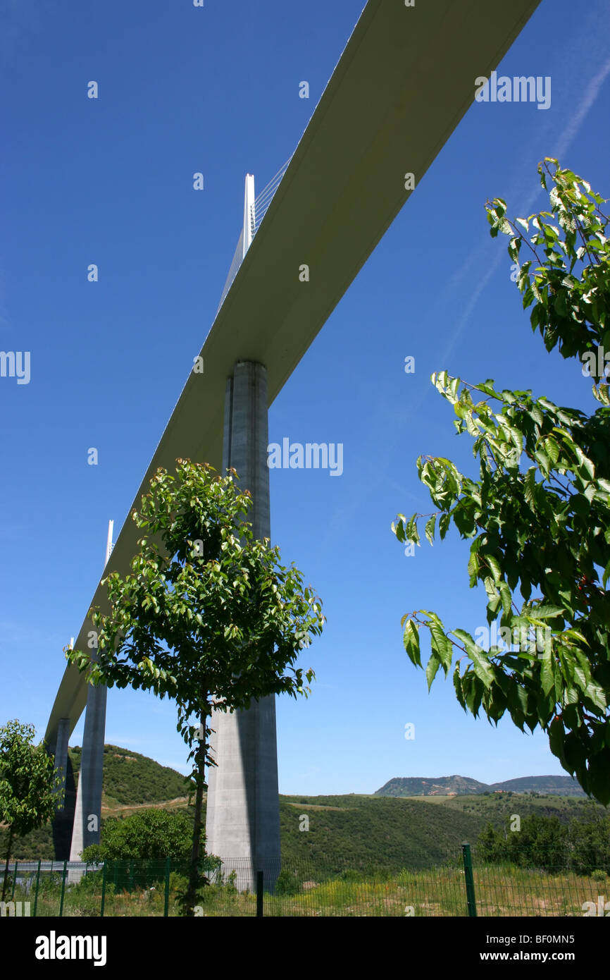 unter dem Viadukt von Millau die höchste Schrägseilbrücke Straßenbrücke in der Welt, Südfrankreich Stockfoto