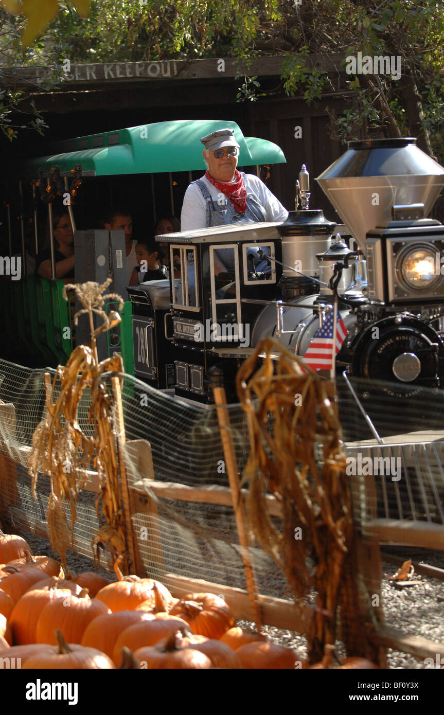 Dirigent fährt den Zug durch die Irvine Park Eisenbahn, den Tunnel verlassen, und vorbei Halloween Kürbisse. Stockfoto