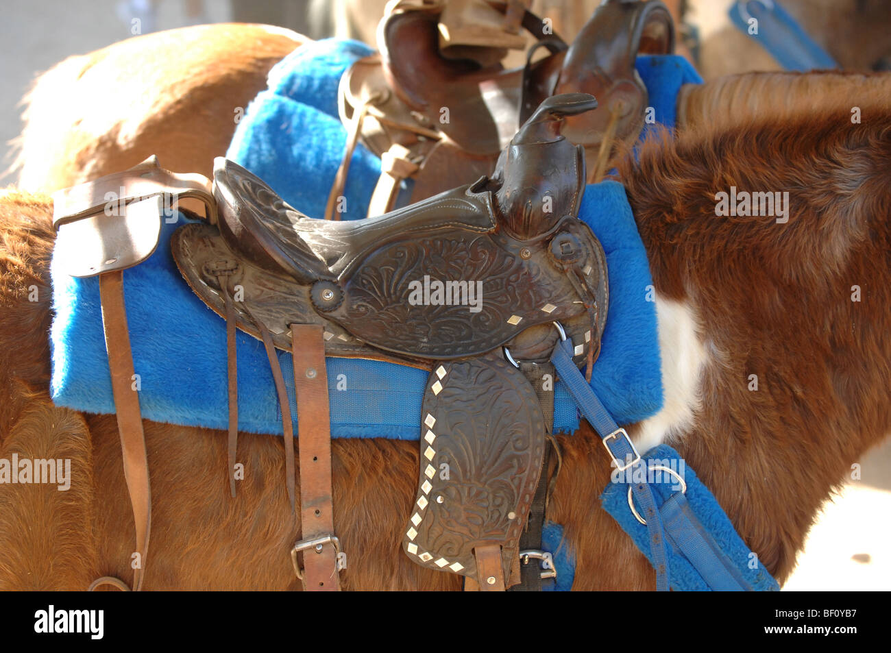 Nahaufnahme von einem Sattel auf einem Pony bereit, Ponyreiten für Kinder Stockfoto