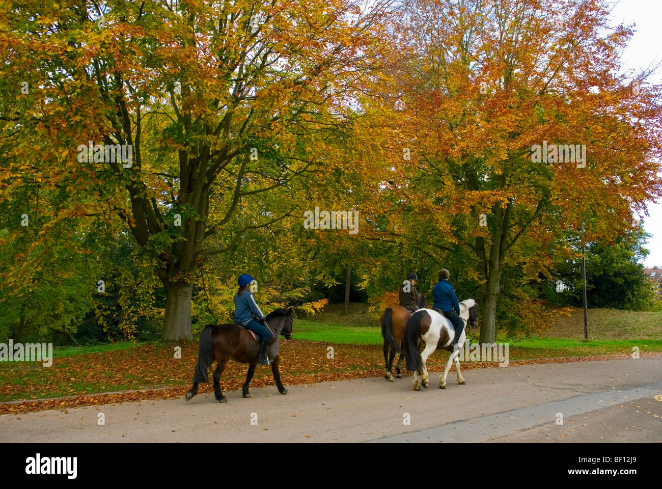 Reiter in Kenilworth Herbstzeit Stockfoto