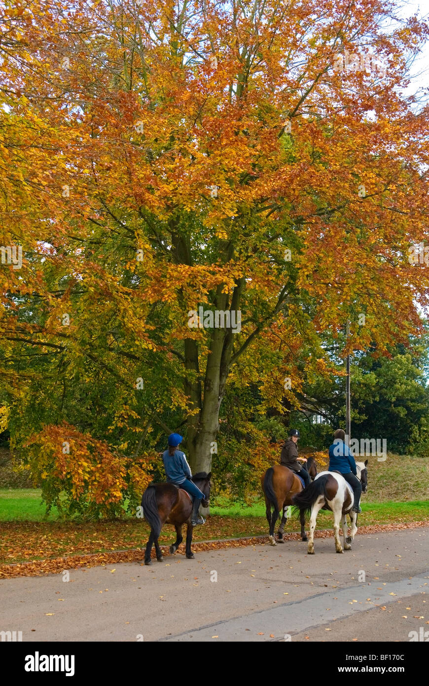 Reiter in Kenilworth Herbstzeit Stockfoto