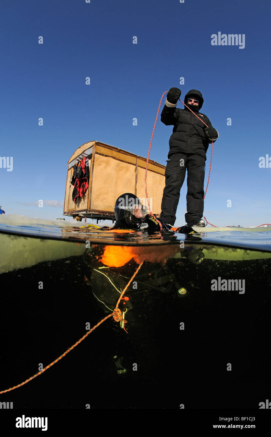 Tauchen, Eis-split Schuss aus Eis Taucher und Safty Seil, weißes Meer, Russland Stockfoto