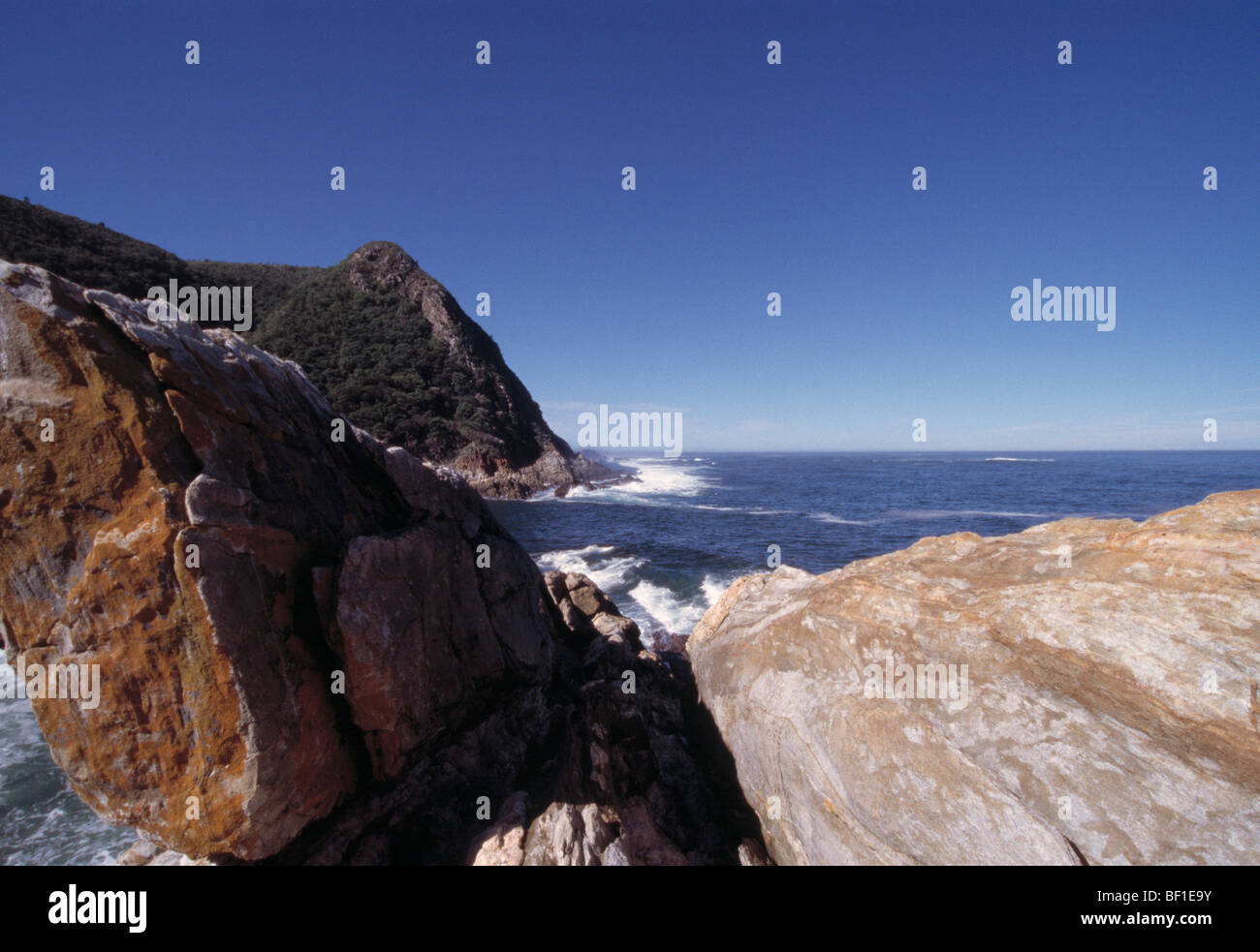 Küste, Tsitsikama National Park, Südafrika, Afrika, Stockfoto