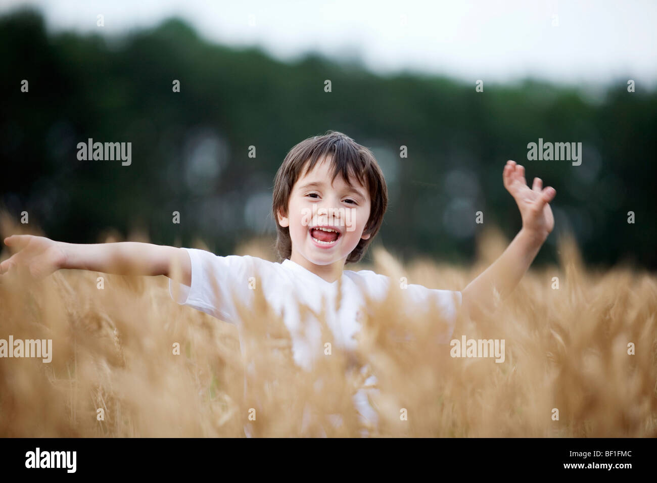 Ein Junge spielt in einem Weizenfeld Stockfoto