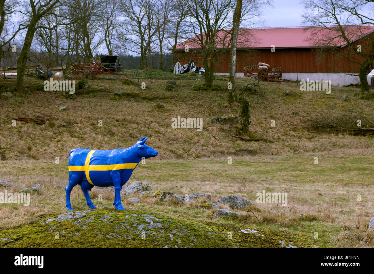 Eine Kuh gemalt als die schwedische Flagge, Schweden. Stockfoto
