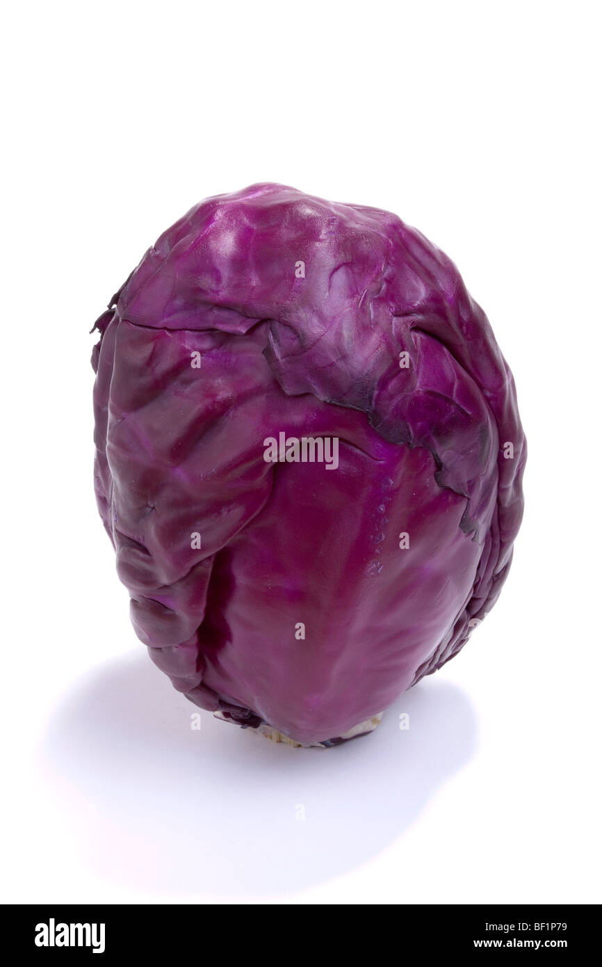 Rohem ganz Rotkohl auf weißen Hintergrund isoliert Stockfoto