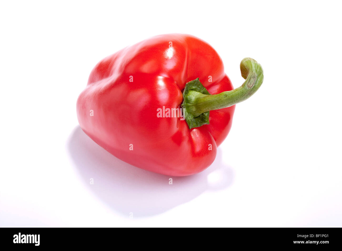 Einzelne rote Paprika auf weißen Hintergrund isoliert Stockfoto