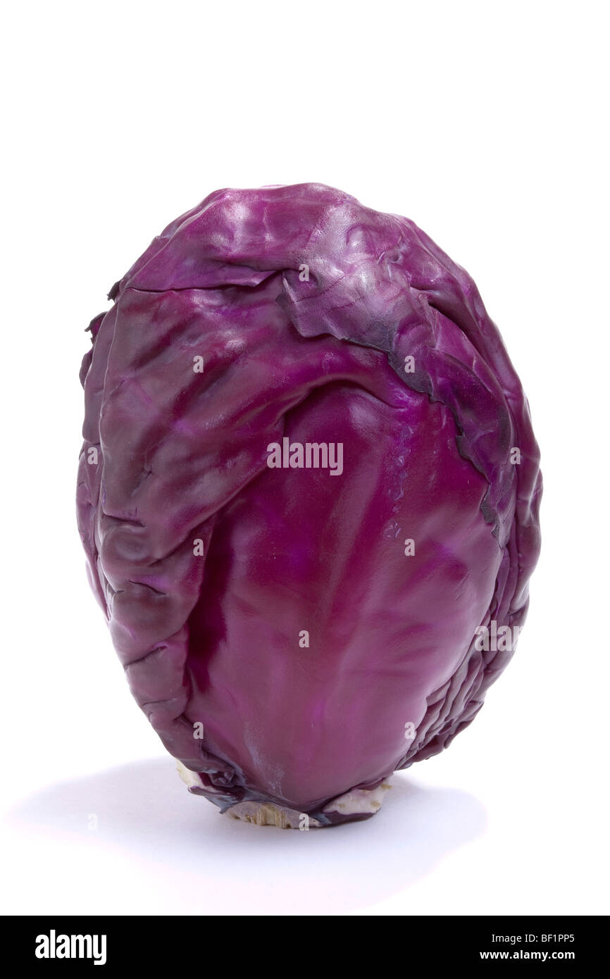 Rohem ganz Rotkohl auf weißen Hintergrund isoliert Stockfoto
