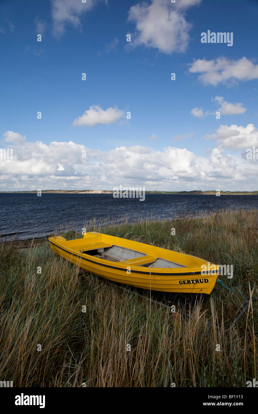 Maisfeld in Virksund, Dänemark. Stockfoto