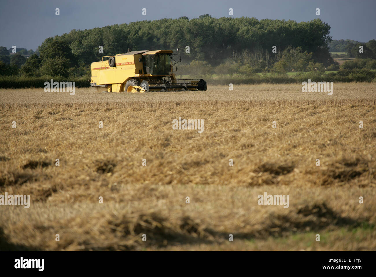 Dorf von Coddington, England. Ein New Holland TX34 Meca Mähdrescher bei der Arbeit in einem Feld von Cheshire. Stockfoto