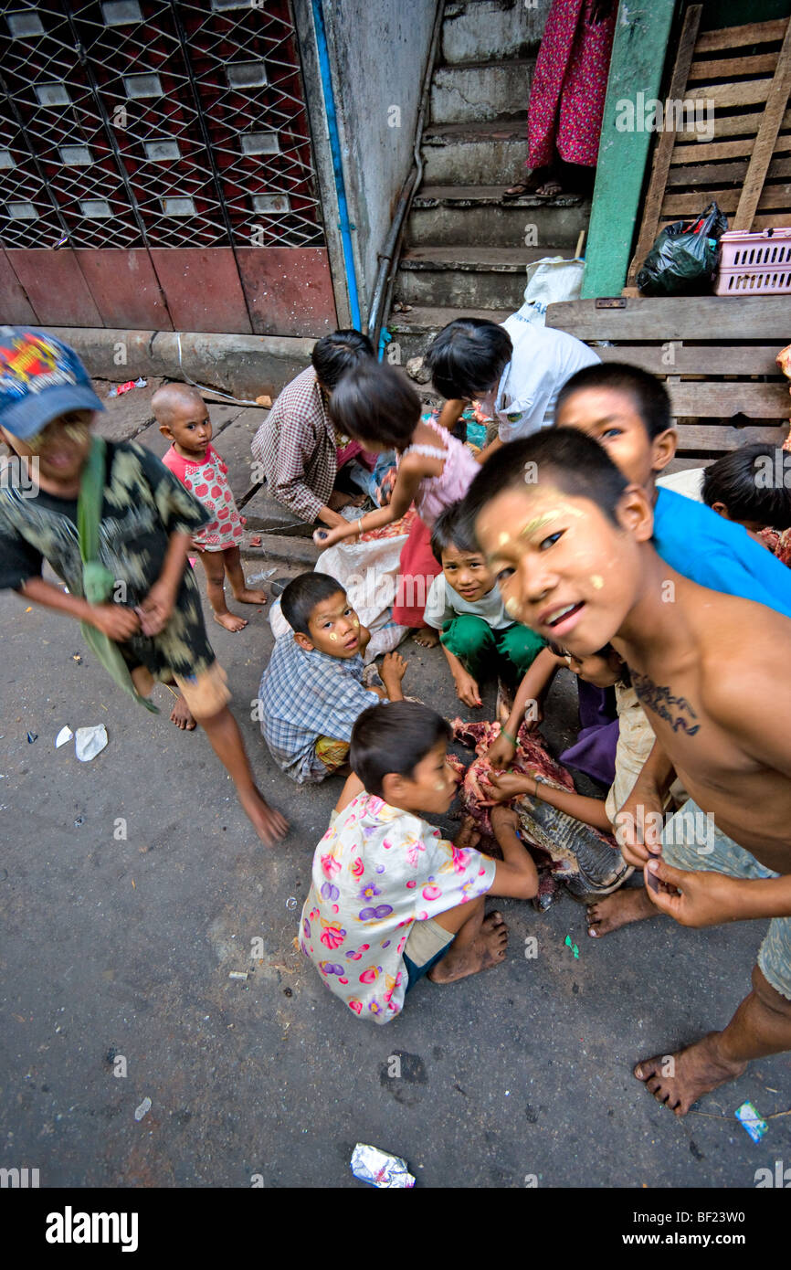 Gruppe der Kinder Teilapparat einer Kuh in der Straße von Yangon, myanmar Stockfoto