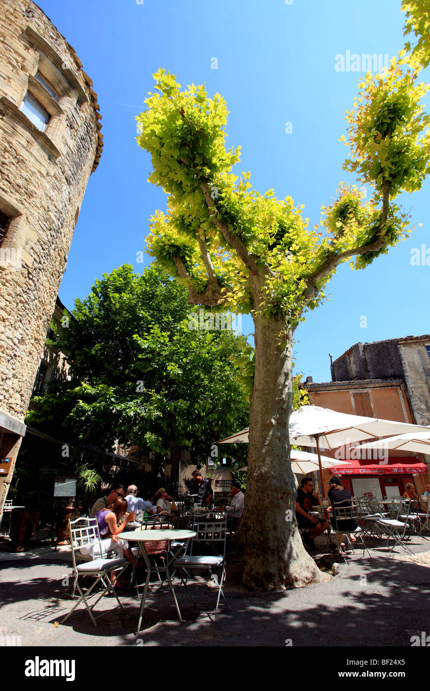 Die mittelalterlichen Platz Gordes mit einem Frühling Platane Baum Stockfoto