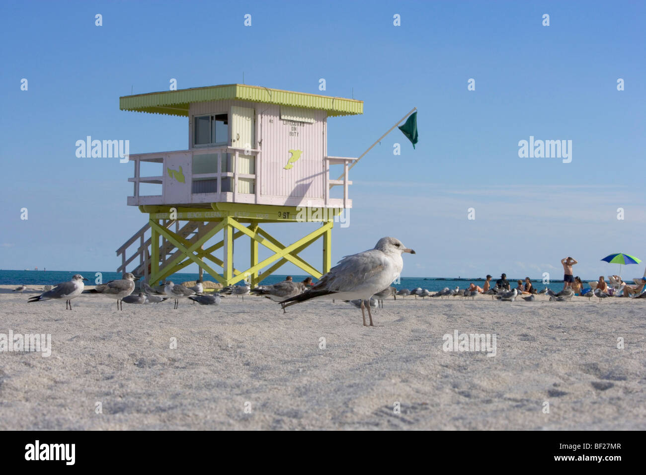 Möwen vor Rettungsschwimmer Stationon Strand in der Sonne, South Beach, Miami Beach, Florida, USA Stockfoto