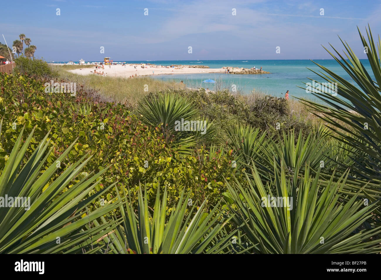 Blick über Palmen am Strand im Sonnenlicht, Boardwalk District, Miami Beach, Florida, USA Stockfoto