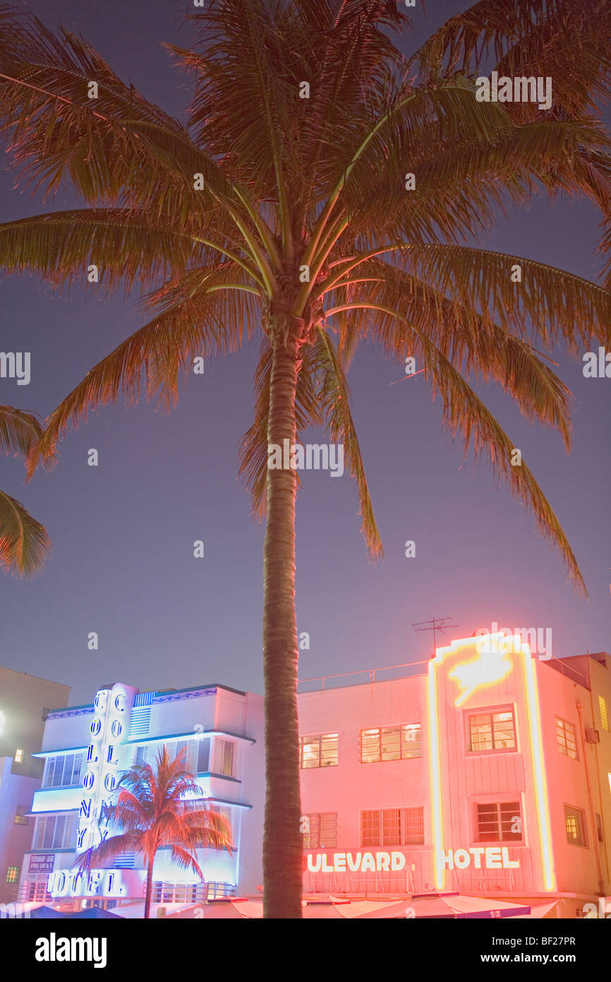 Palm-Baum und beleuchtete Hotels im Art-Deco-Viertel in der Nacht, Ocean Drive, Miami Beach, Florida, USA Stockfoto