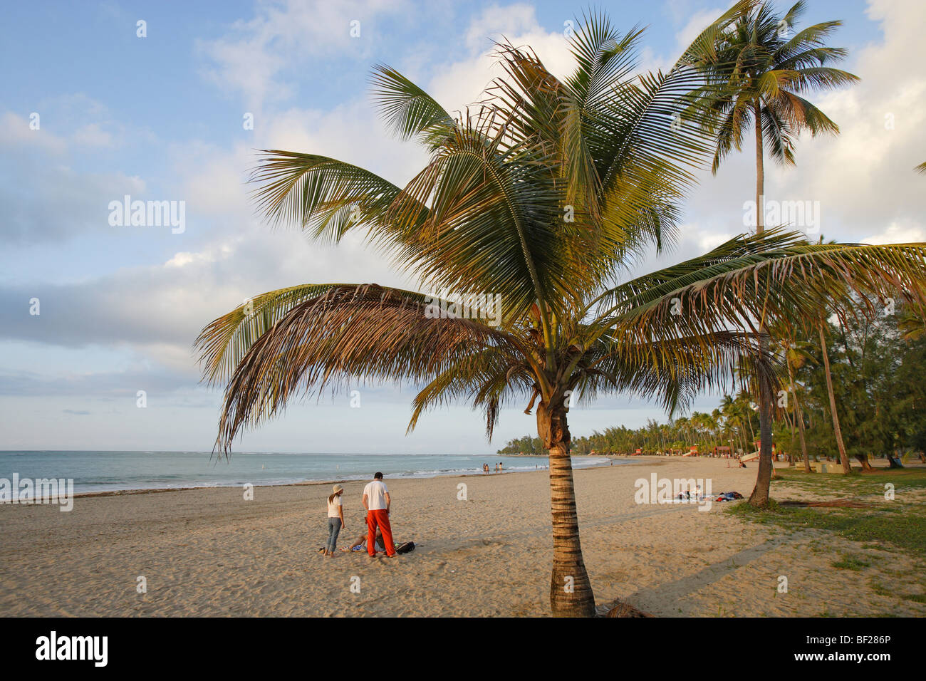 Menschen und Palmen Bäume am Strand unter bewölktem Himmel Luquillo, Puerto Rico, Karibik, Amerika Stockfoto