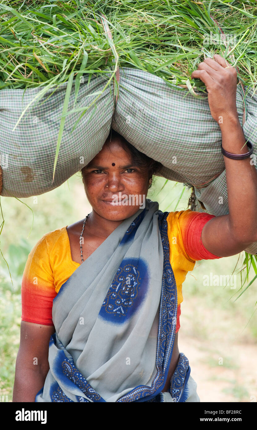 Indische Frau, die einen Sack aus geschnittenem Gras auf dem Kopf. Andhra Pradesh, Indien Stockfoto