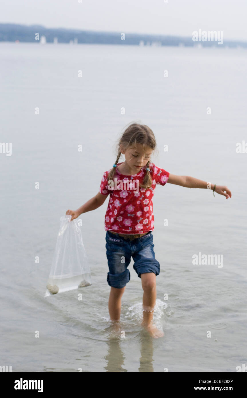 Mädchen (4-5 Jahre) auf der Suche nach Muscheln in den See, See, Ammersee, Bayern, Deutschland Stockfoto