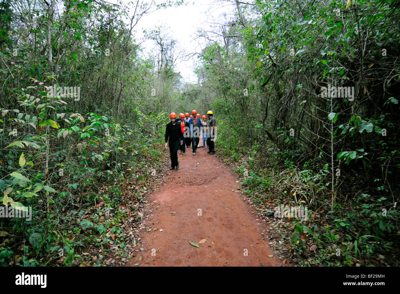 Trail für Ökotouristen zu sehen, die Blaue Grotte, Bonito, Mato Grosso Sul, Brasilien Stockfoto
