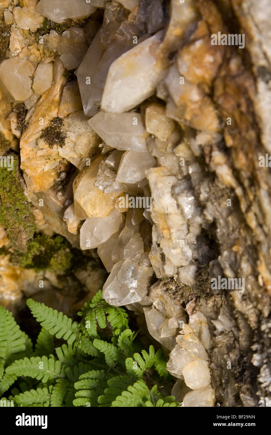 Bergkristalle, Baldschieder Tal, Berner Alpen, Wallis, Schweiz Stockfoto