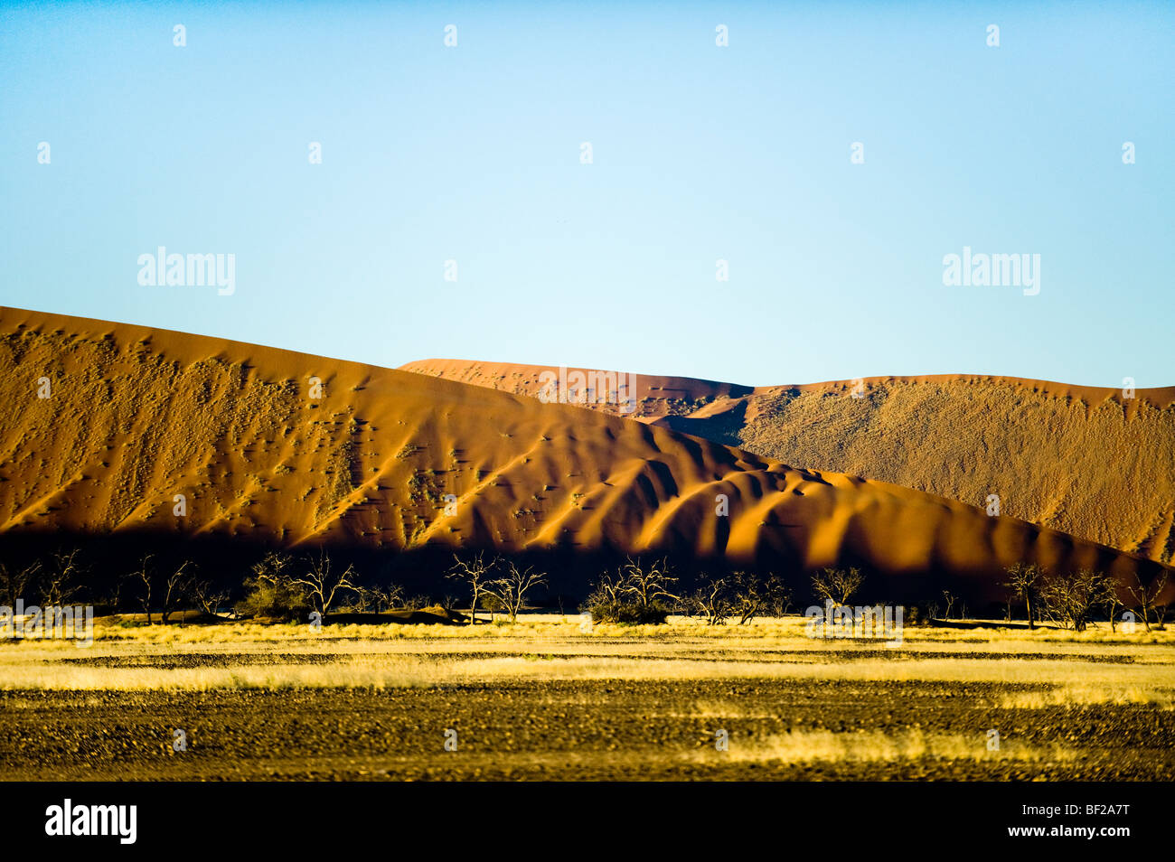 Sonnenuntergang NAMIBIA Wüste SOSSUSVLEI Dünen gelb rot orange Sand Staub breite Land Landschaft Sesriem Naukluft NP Nationalpark nationa Stockfoto