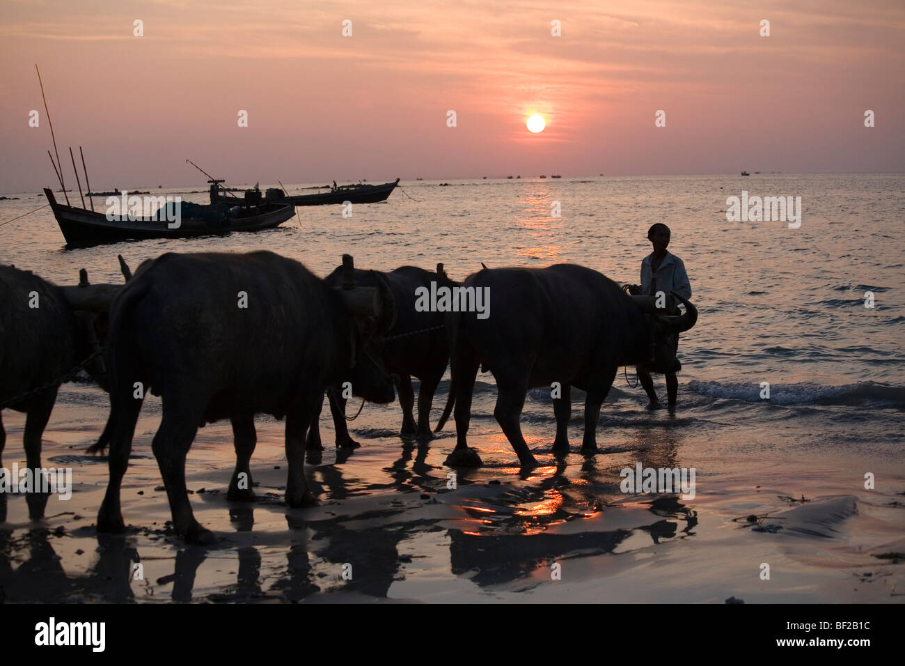 Mann mit immer und Angelboote/Fischerboote bei Sonnenuntergang in Ngapali Beach, Golf von Bengalen, Rakhine State in Myanmar Burma Stockfoto