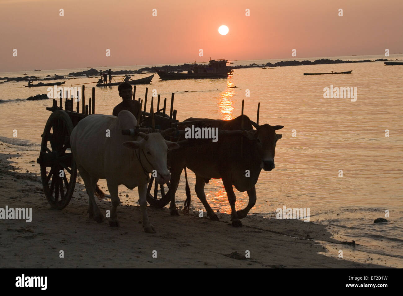 Mann auf einem Ochsen Wagen bei Sonnenuntergang in Ngapali Beach, Golf von Bengalen, Rakhine State in Myanmar Burma Stockfoto