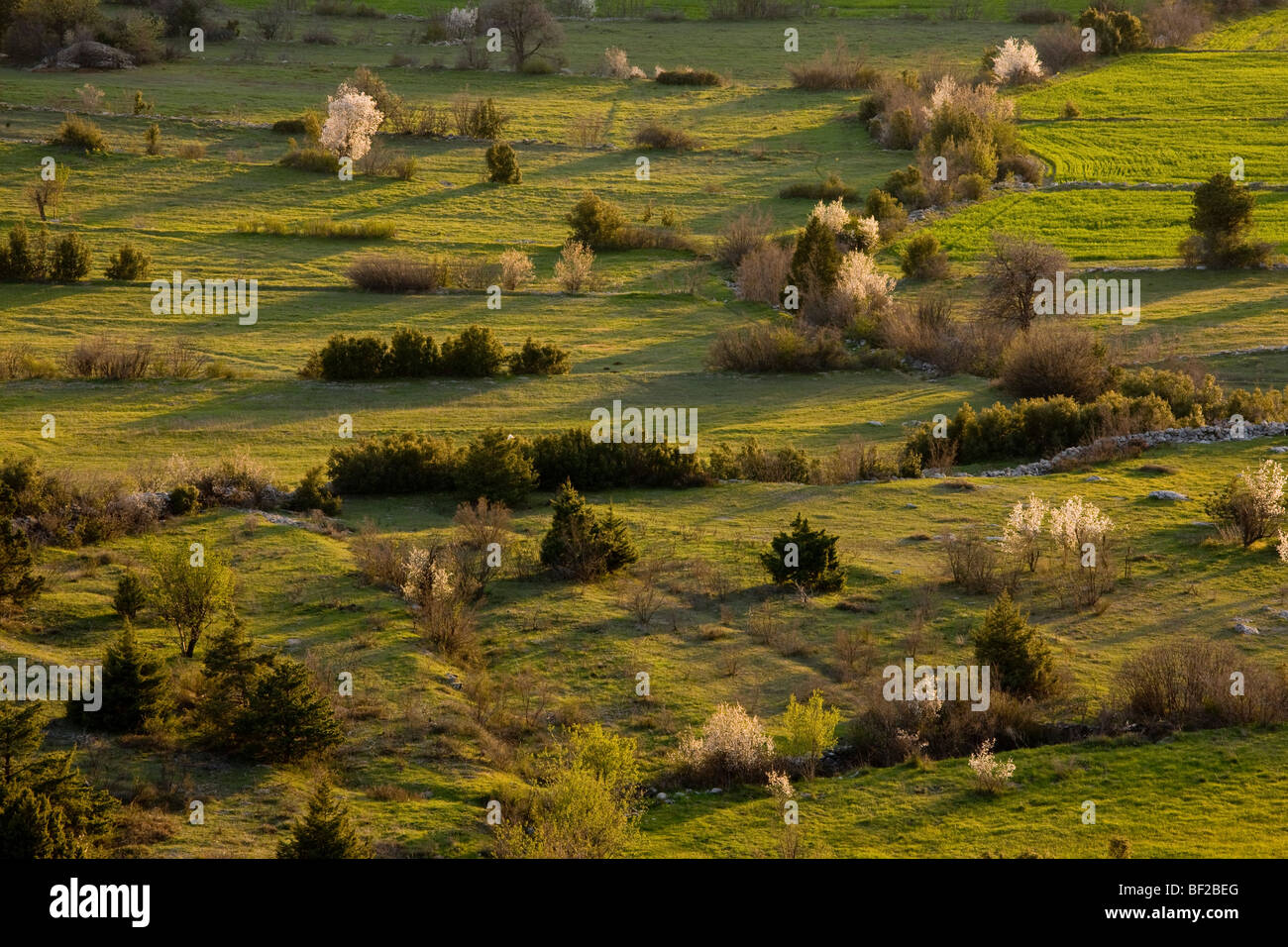 Alte Feld Muster und Grenzen an einem Frühlingsabend; bei Cimikoy in der Nähe von Akseki, Taurus-Gebirge, Südtürkei. Stockfoto