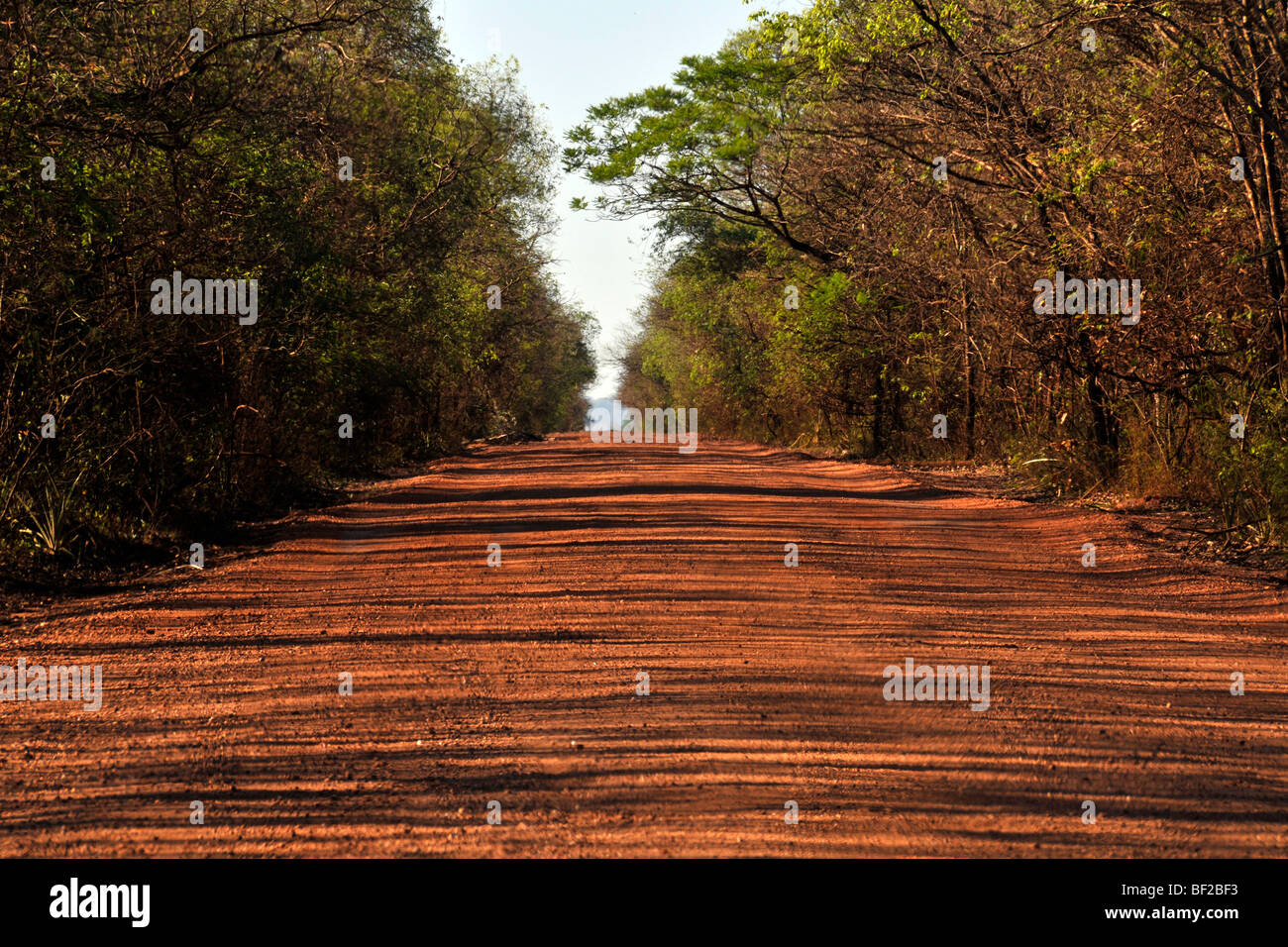 Dirt Road in der Nähe von Bonito, Matgreeno Grosso do Sul Brasilien Stockfoto