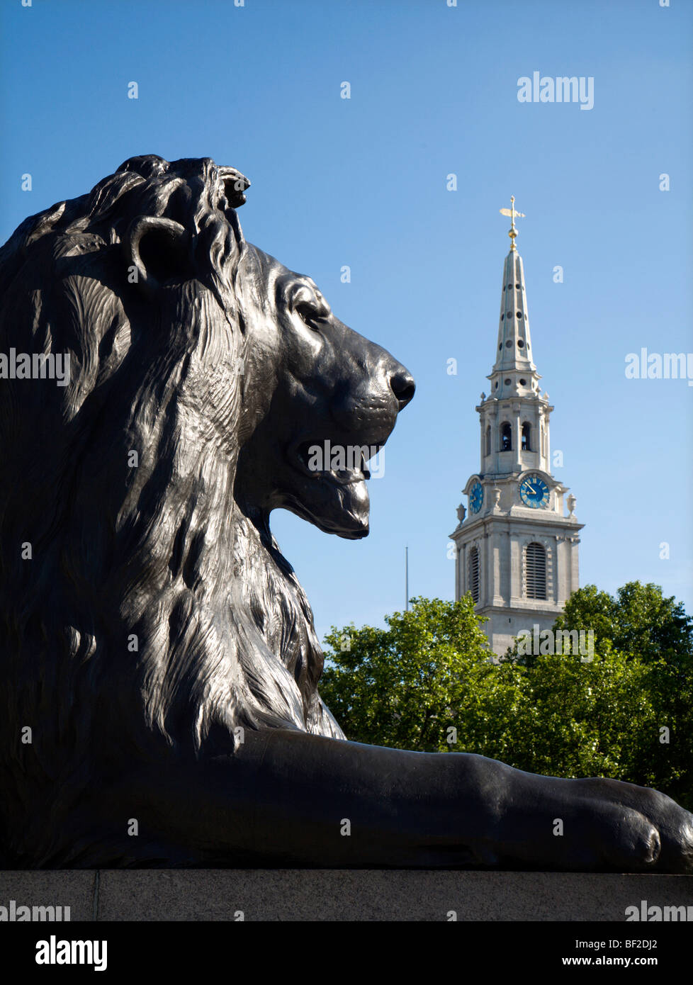 London - Löwen aus Nelson Denkmal am Trafalgar square Stockfoto