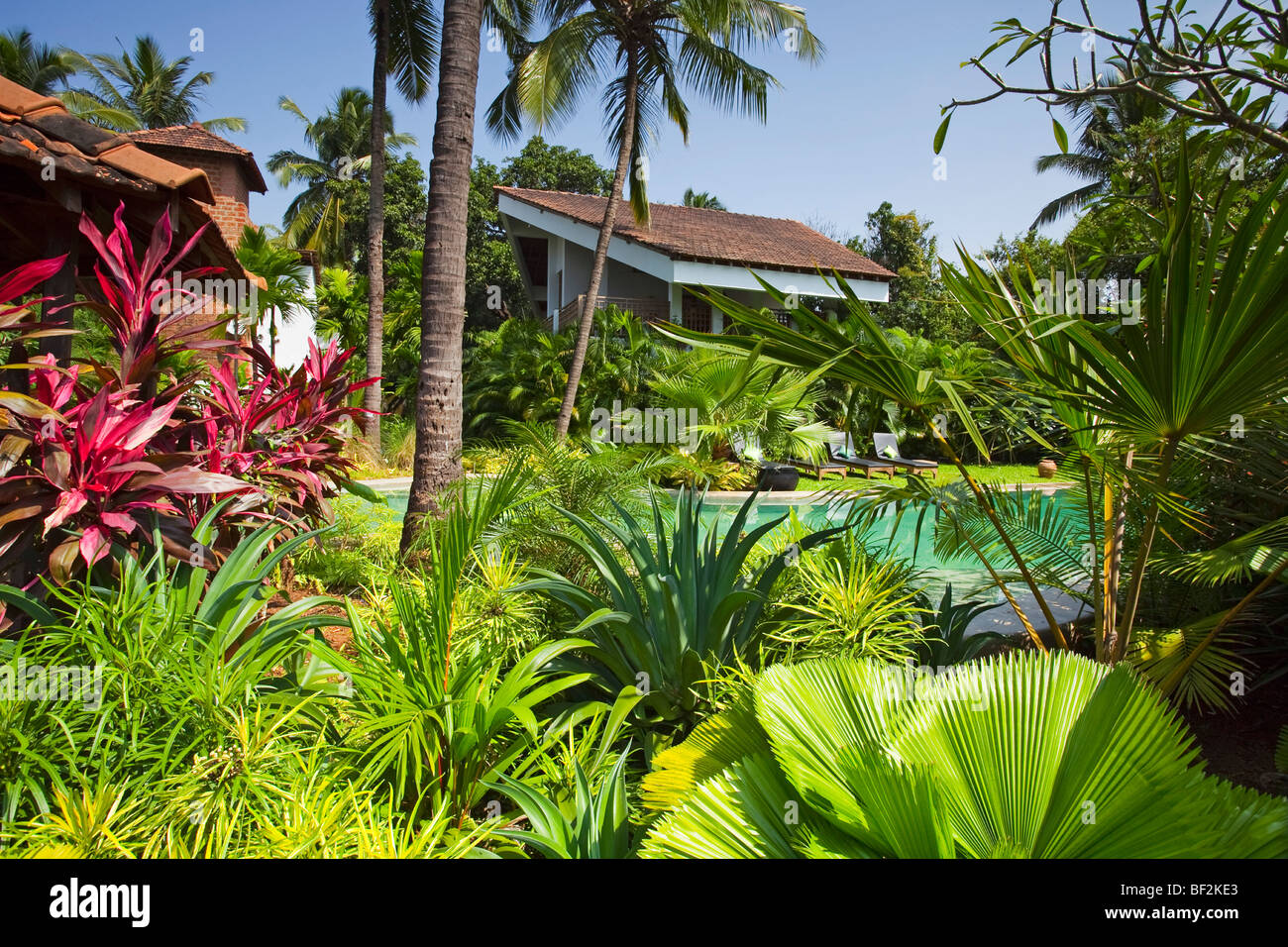 Eine tropische moderne Luxusvilla inmitten tropischer Gärten Stockfoto