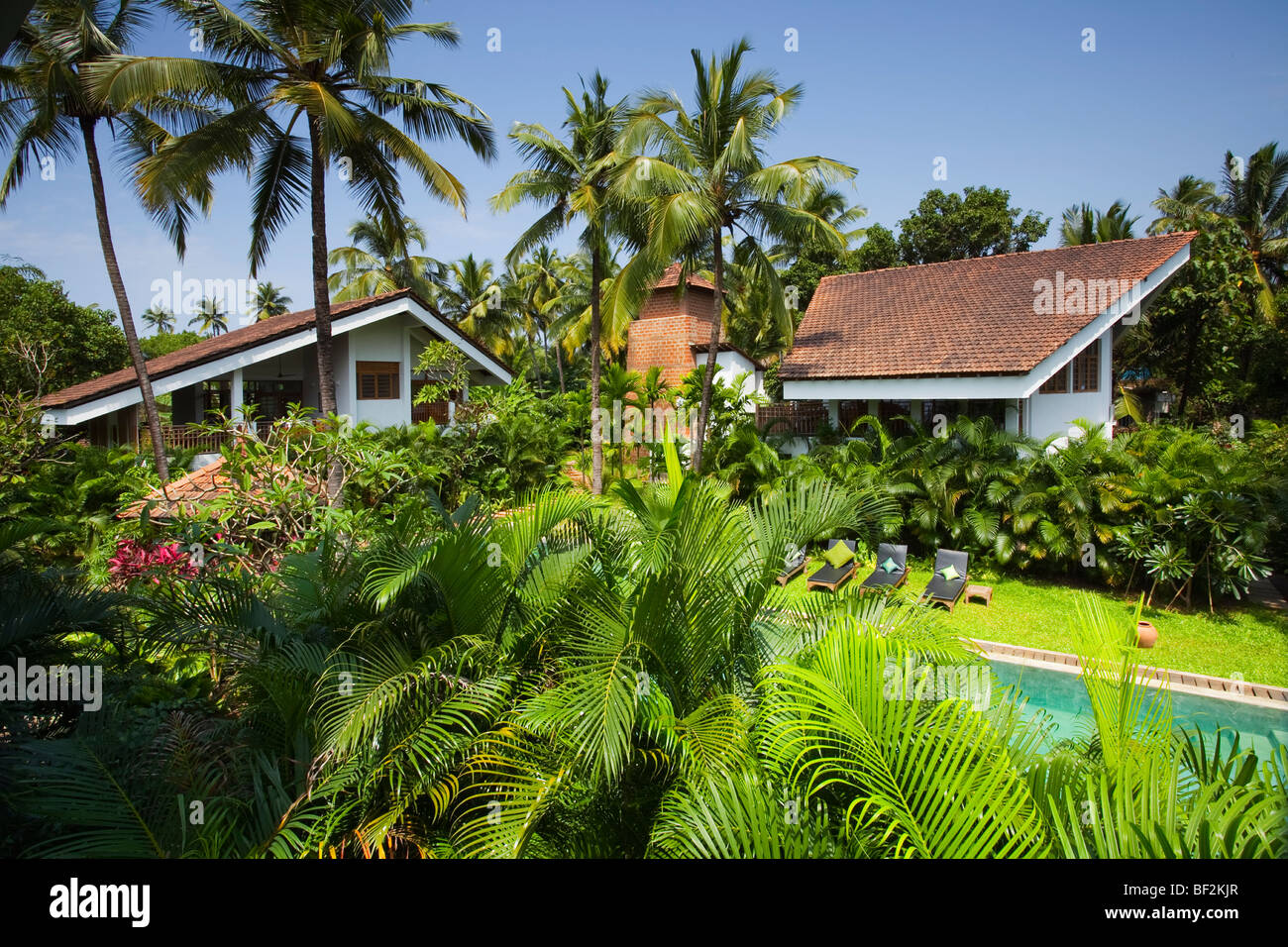 Zwei tropische moderne Luxusvillen inmitten tropischer Gärten Stockfoto