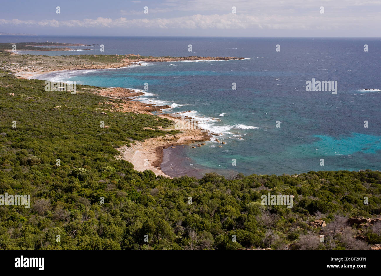 Freier Wildbahn ausgesetzt unberührter Granit Südwest-Küste von Korsika, Frankreich. Stockfoto
