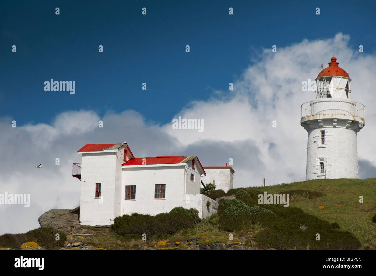 Leuchtturm auf der Otago Peninsula, Südinsel, Neuseeland. Stockfoto