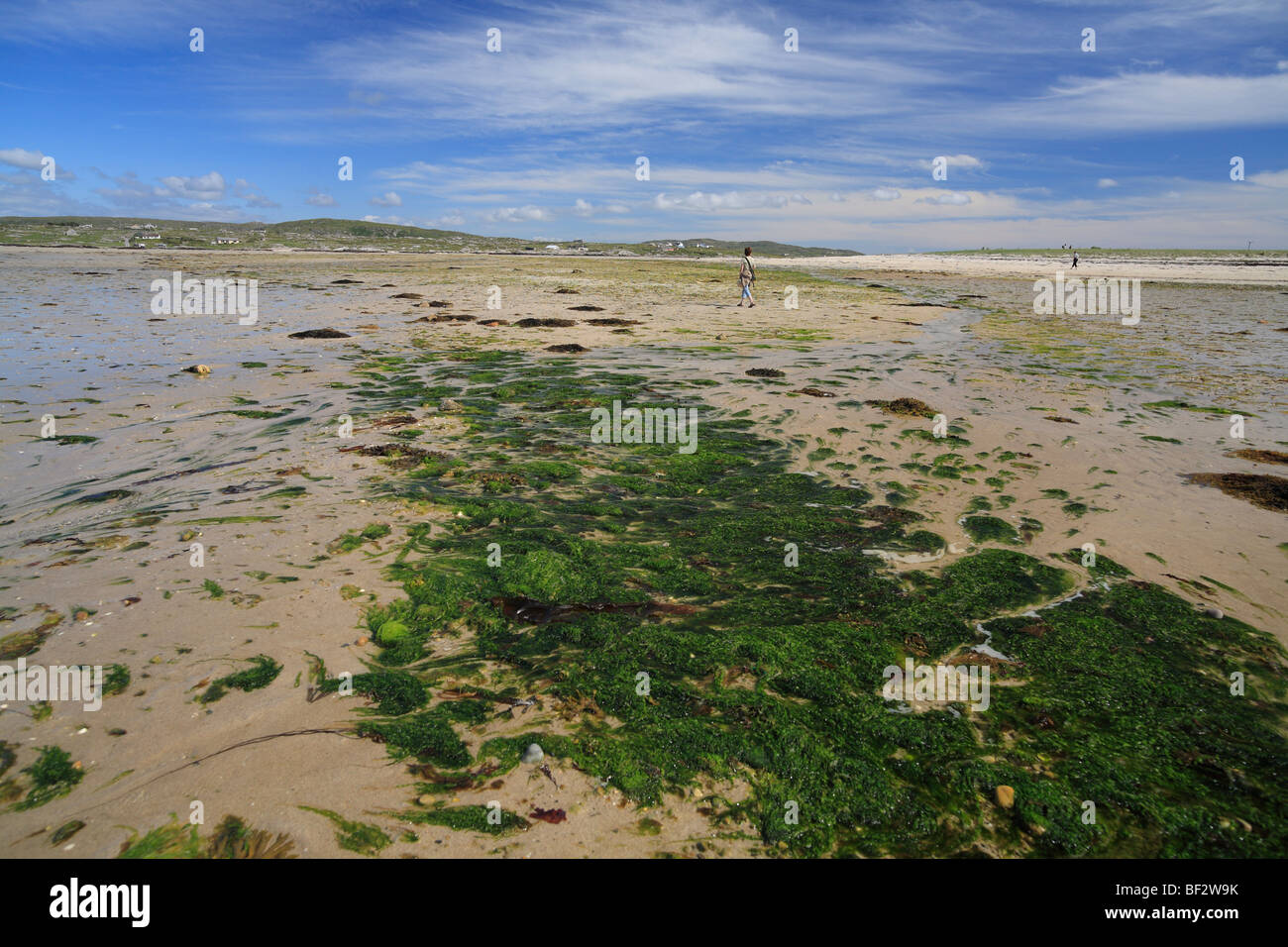 Strand auf Omey Insel bei Ebbe, Irland; Blick auf Claddaghduff Stockfoto