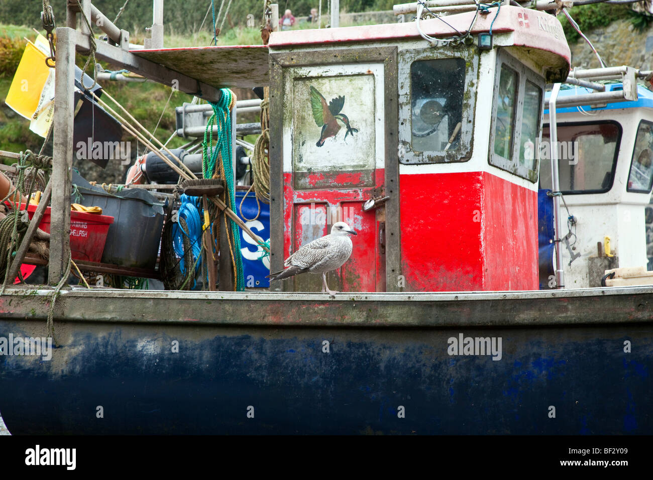 Fischerdorf Cadgwith Boot am Meer Angeln, Halbinsel Lizard, Cornwall, Südwestengland Stockfoto