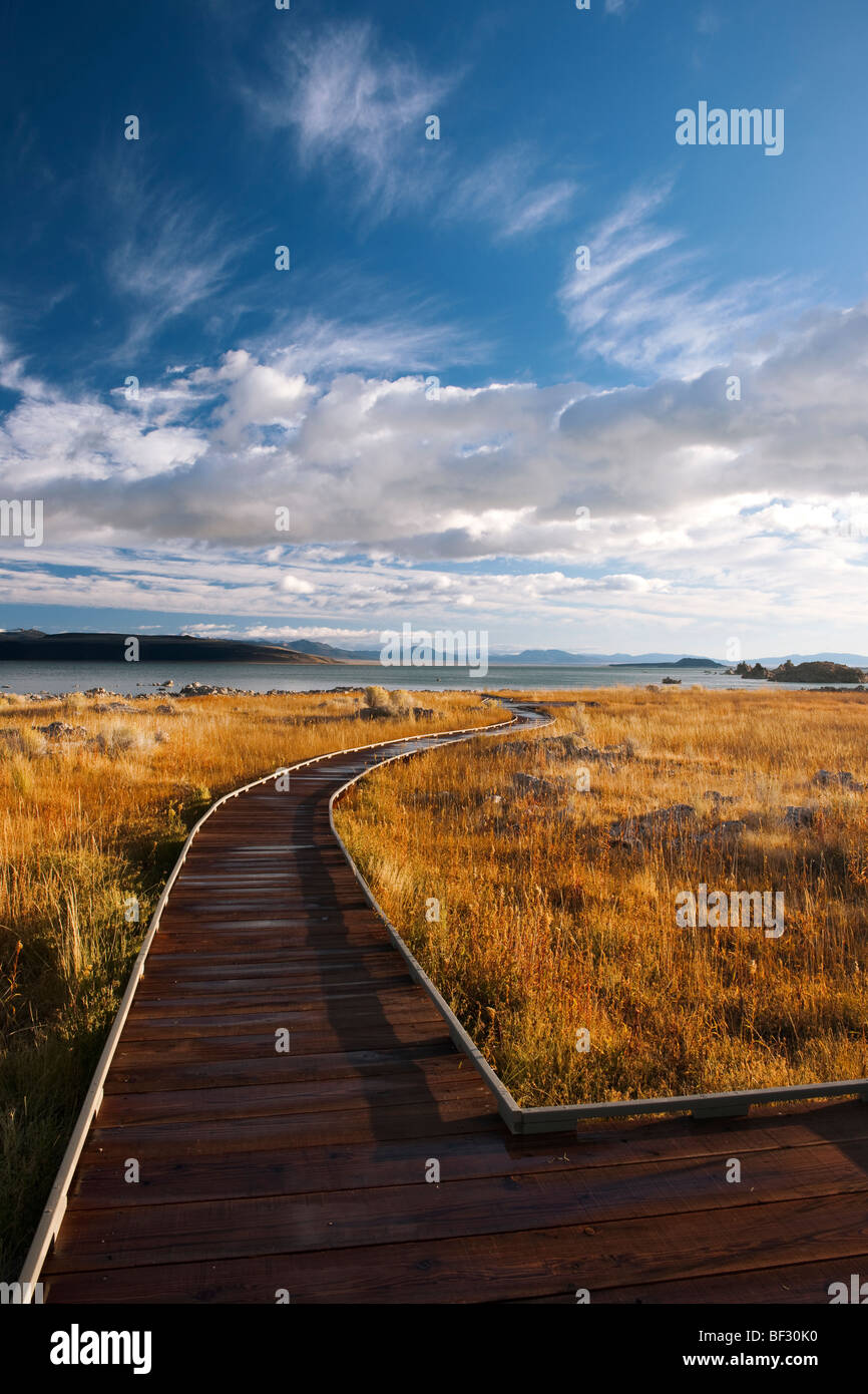 Diese Promenade führt zum kalifornischen Mono Lake Tufa Naturschutzgebiet. Stockfoto