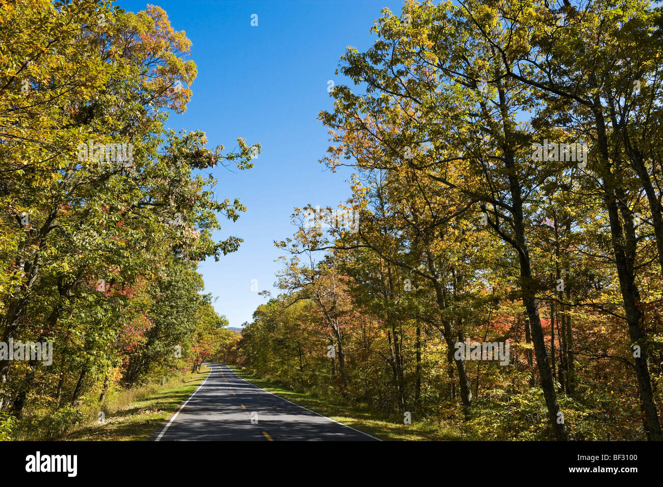 Herbstfarben am Skyline Drive, Shenandoah National Park, Blue Ridge Mountains, Virginia, USA Stockfoto