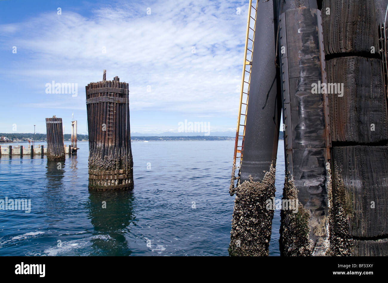 Fähre-Kotflügel-Haufen. Stockfoto