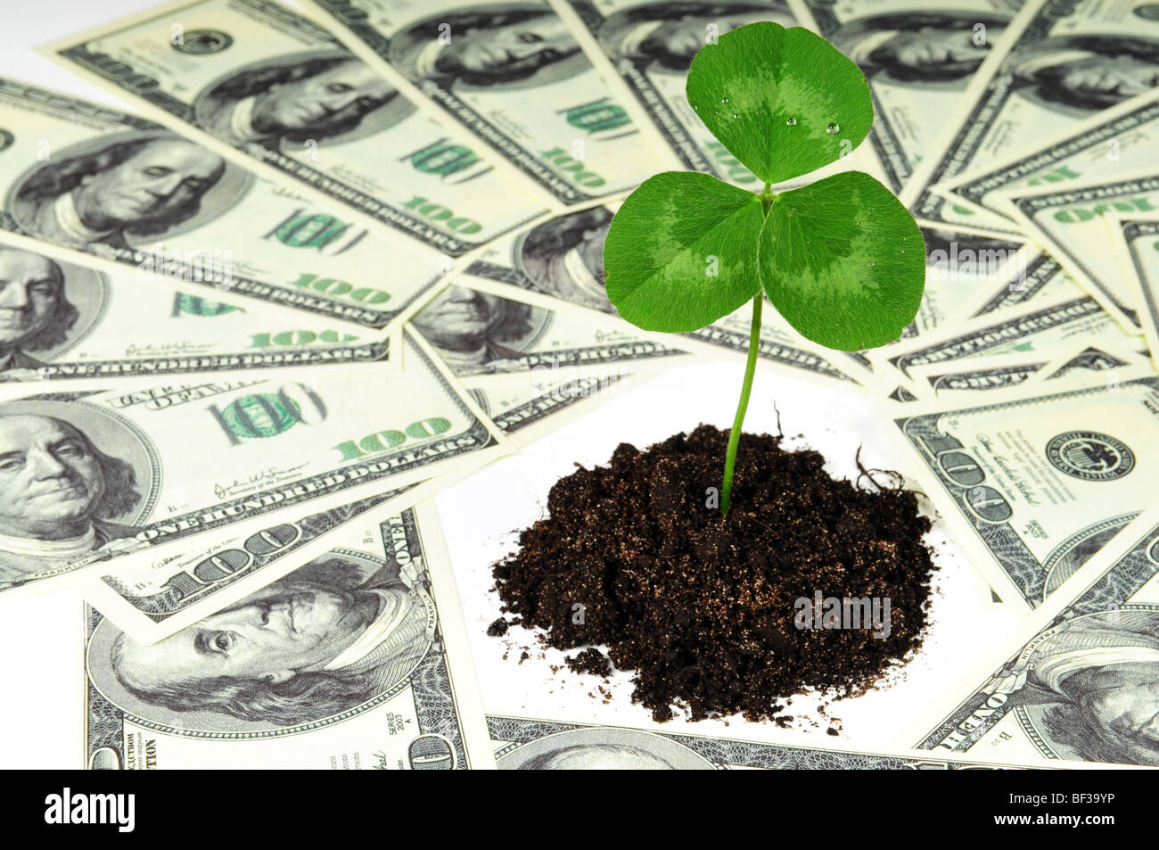 Wachsen Sie neue Business Konzept - grüne Klee Anlage rund ums Geld Stockfoto