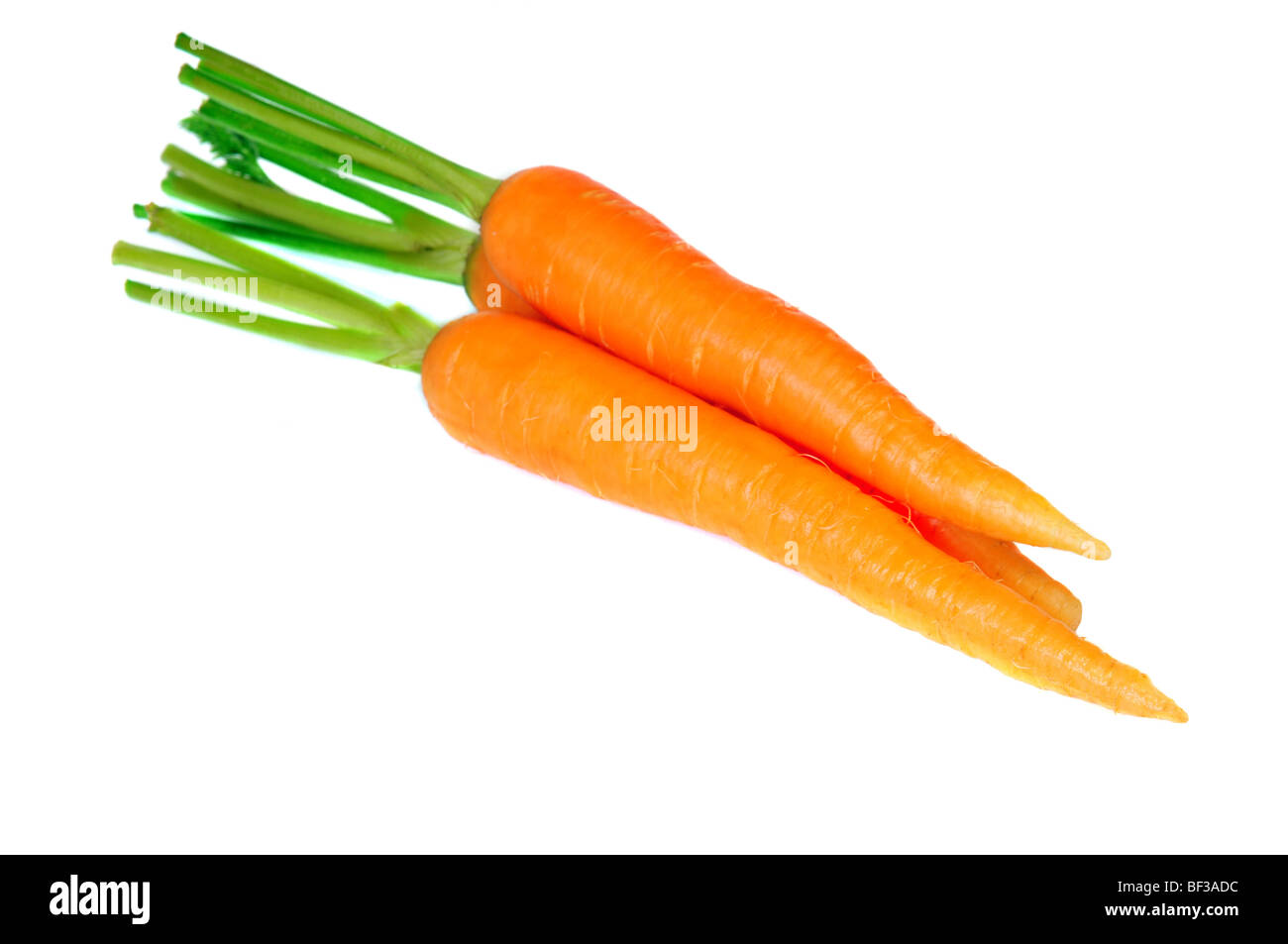 Frische Gemüse Möhre Gruppe auf weißem Hintergrund Stockfoto
