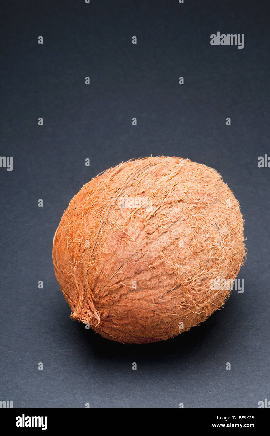 Nahaufnahme einer Kokosnuss Stockfoto