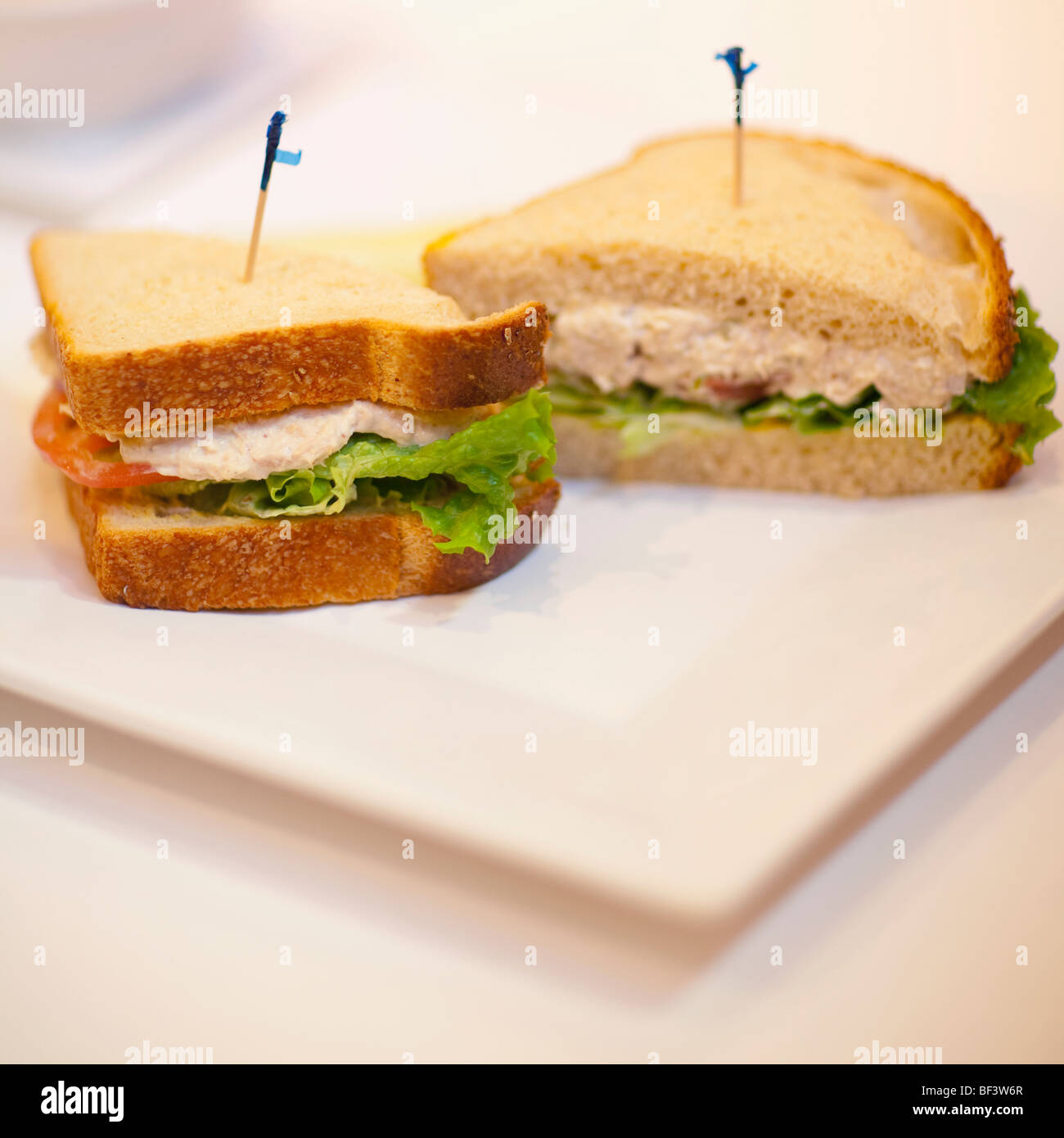 Nahaufnahme von sandwiches Stockfoto