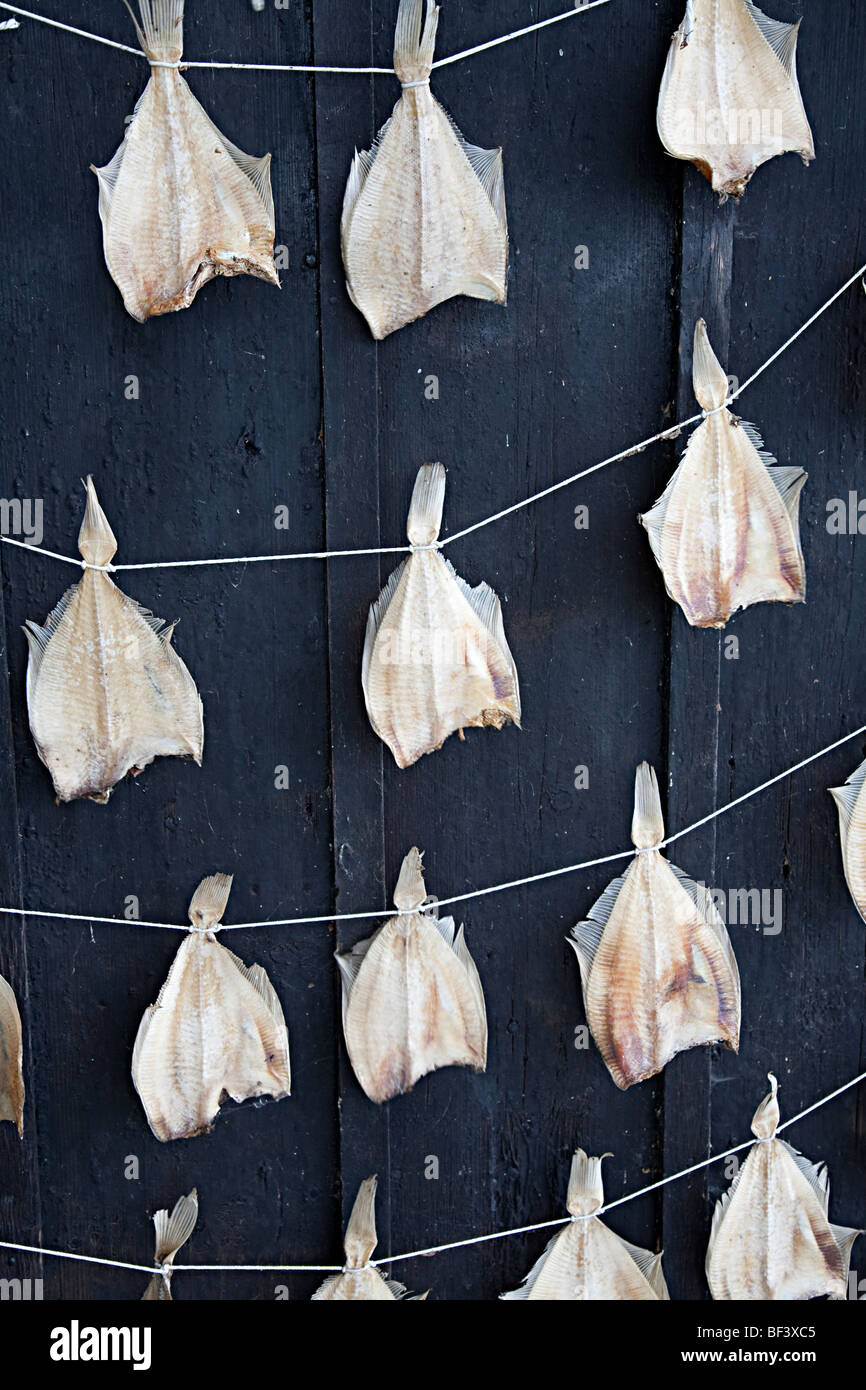 Fisch Zuiderzeemuseum Enkhuizen Niederlande Trocknen aufhängen Stockfoto