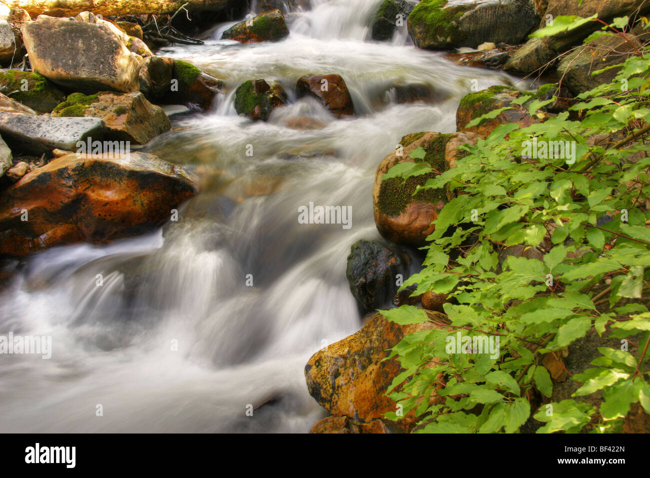 Big Cottonwood Creek in den Wasatch Mountains des nördlichen Utah USA Stockfoto