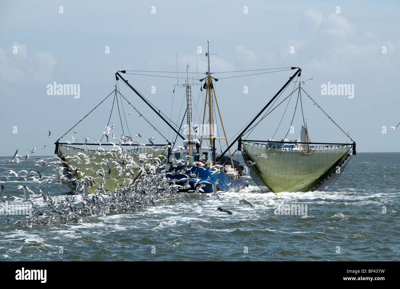 Vlıeland Terschellıng Texel Angeln Wattenmeer Wattenmeer Niederlande Stockfoto